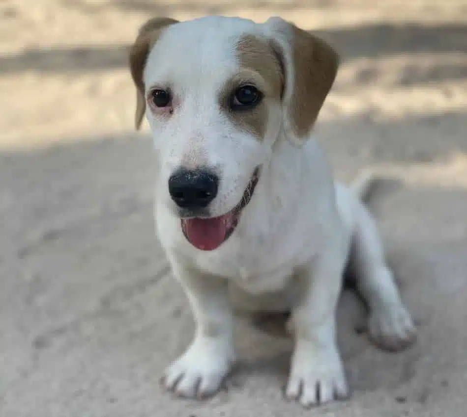 untitled design 10.jpg